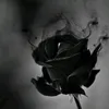 lyz_oyb