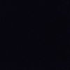 pirr_41
