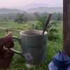 Hendry@Cung