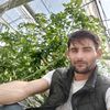rauf_4343