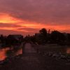 muhana__2555
