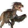velociraptor_but_kul