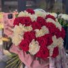 fatima_nmr22