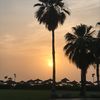 noor9_84