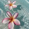 juxst_rien
