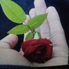 rohail.king091