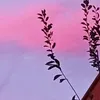 fatima_fatima147