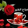 noraden463