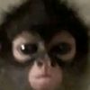 26ruxxi_