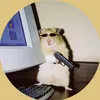the_worst_edit_maker1