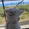 yuki_ehe26