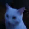 googs001
