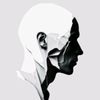 pyre_bird