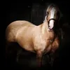 rebeccaayre6
