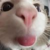 jochem0341