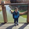 chaimaa.jbrou