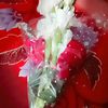 user1851606727545