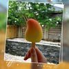mangogal_