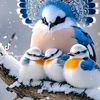 abo.khater48