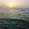 user9865600524770_