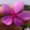 .sk.rabby.36