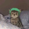 novi_is_not_yours