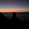 davin.saonone