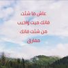 user8106831836148