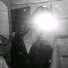 shellaeo