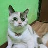 evsusanto92