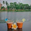 sumayaaktert