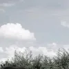 nthn__210