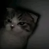 jhllpa2