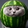 watermeloncat199