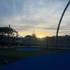 what_douwant2