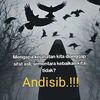 andiandul1