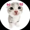 user1610491424346