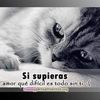 carlosfloresflore25