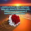 user72715618524721