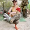 Trại Gà Ngọc