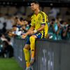 domty.7