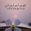 user3850473857215