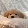 ghgzgzgh