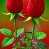 mukhtaar.gureey8