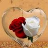 user8744971024342