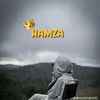 hamzapti8042
