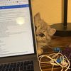 nerdy_nelly99