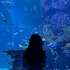 kiaaa_074
