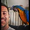 konstantinos.pal