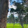beautifullibya23
